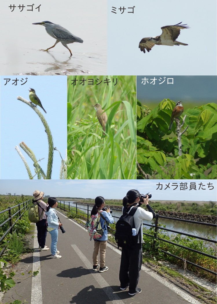カメラ部活動の様子