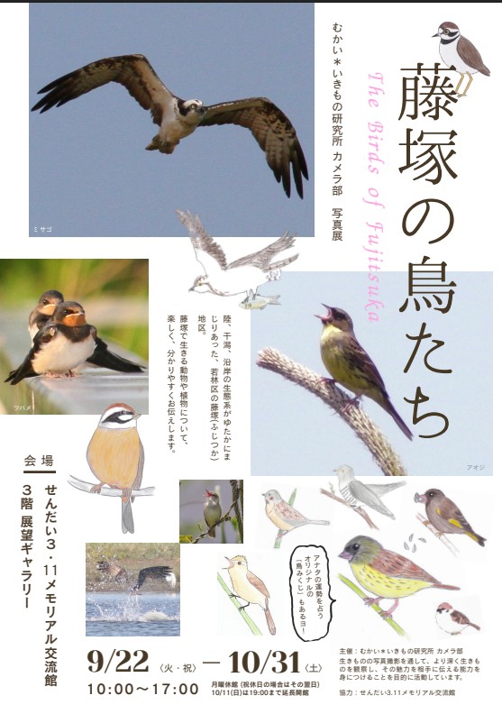 カメラ部活動の様子